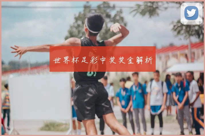 世界杯足彩中奖奖金解析