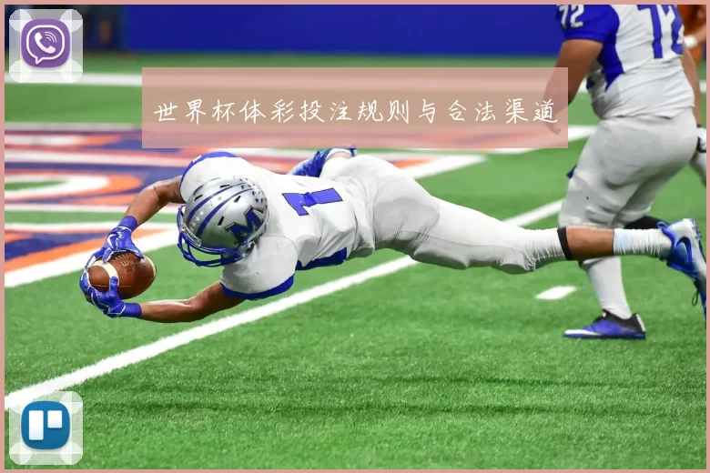 世界杯体彩投注规则与合法渠道