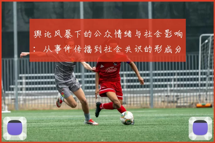 舆论风暴下的公众情绪与社会影响:从事件传播到社会共识的形成分析