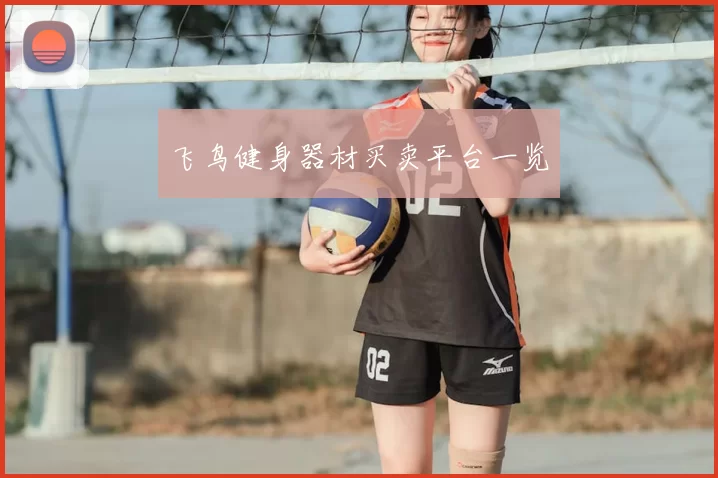 飞鸟健身器材买卖平台一览