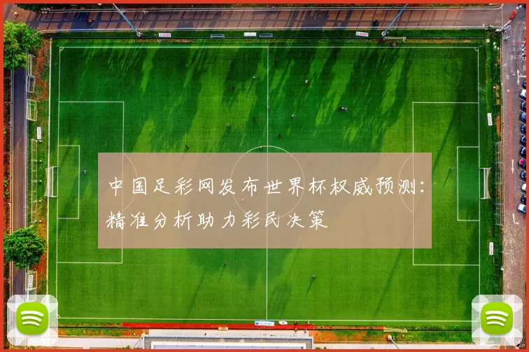中国足彩网发布世界杯权威预测：精准分析助力彩民决策