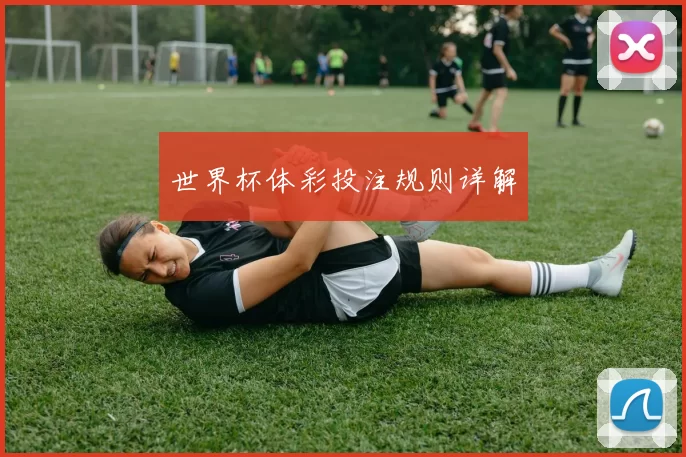世界杯体彩投注规则详解