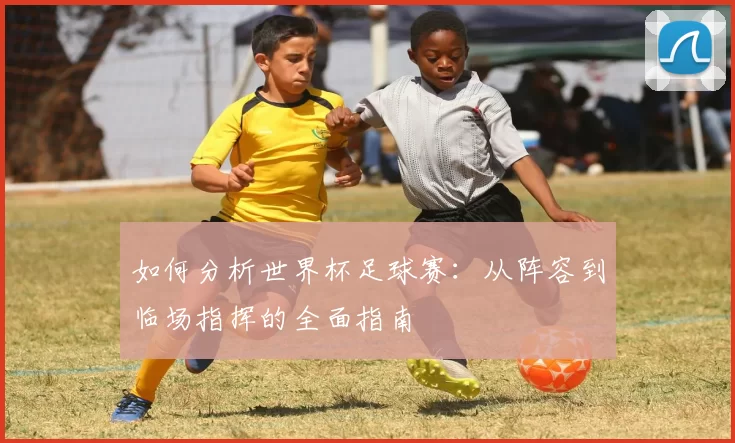 如何分析世界杯足球赛：从阵容到临场指挥的全面指南