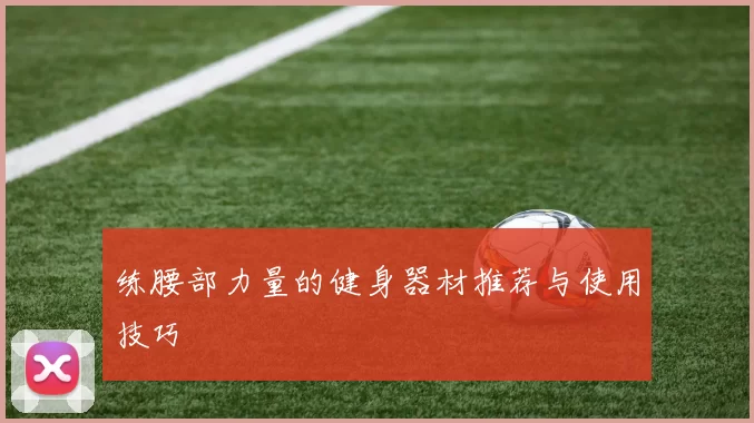 练腰部力量的健身器材推荐与使用技巧