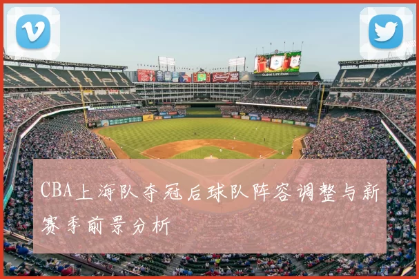 CBA上海队夺冠后球队阵容调整与新赛季前景分析