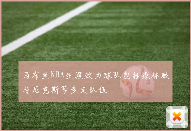 马布里NBA生涯效力球队包括森林狼与尼克斯等多支队伍